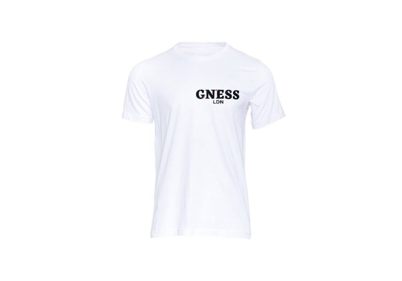GNESS